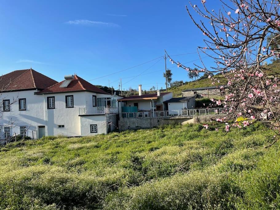 Casa Da Celeste Maljoga de Proenca エクステリア 写真