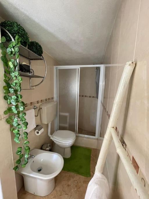 Casa Da Celeste Maljoga de Proenca エクステリア 写真