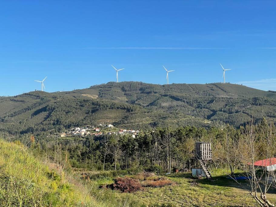 Casa Da Celeste Maljoga de Proenca エクステリア 写真