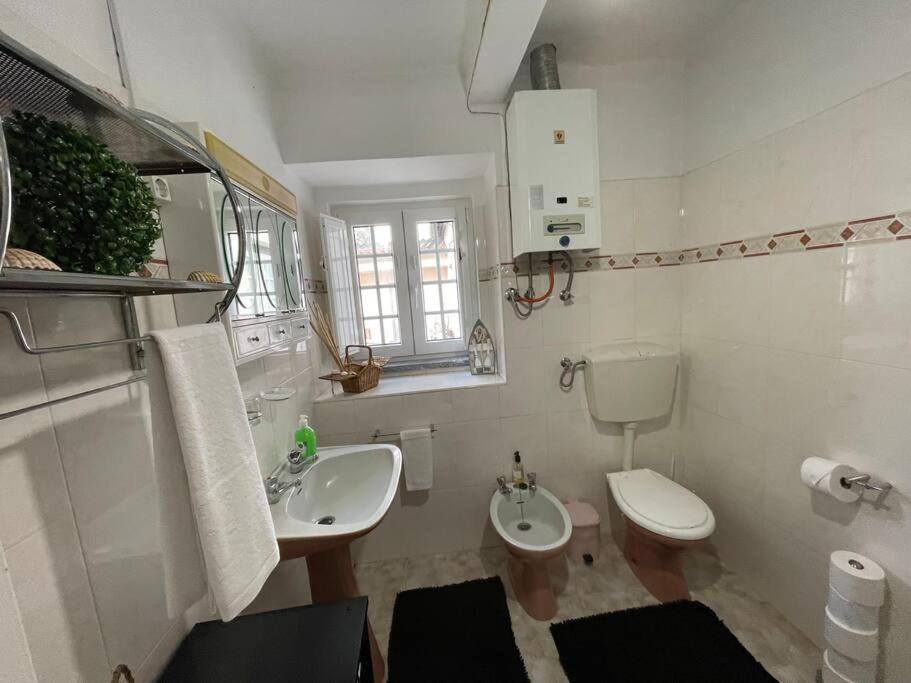 Casa Da Celeste Maljoga de Proenca エクステリア 写真