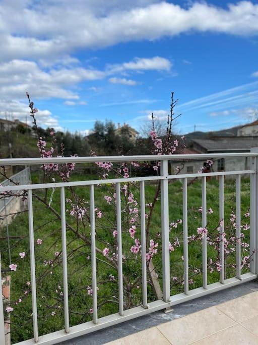 Casa Da Celeste Maljoga de Proenca エクステリア 写真