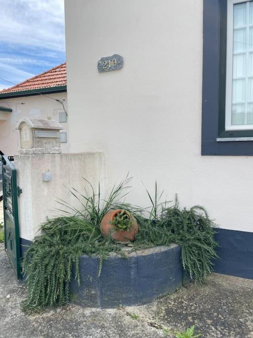 Casa Da Celeste Maljoga de Proenca エクステリア 写真