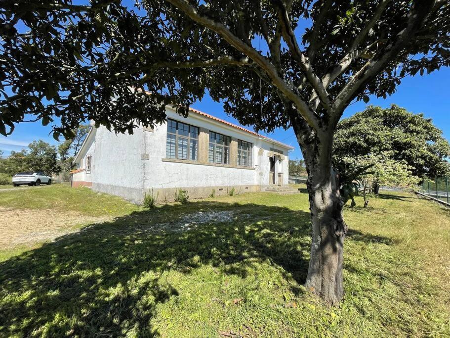 Casa Da Celeste Maljoga de Proenca エクステリア 写真